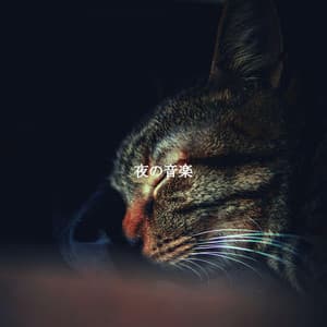 夜の音楽 - Light Jazz Coffee House