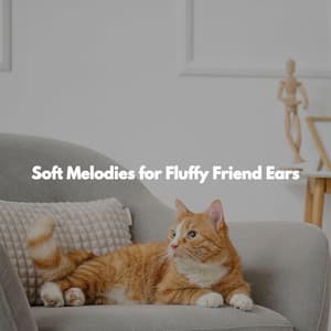 Soft Melodies for Fluffy Friend Ears - Trabajar desde Casa Playlist
