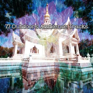 77 Outdoors Ambience Tracks - Entspannungsmusik