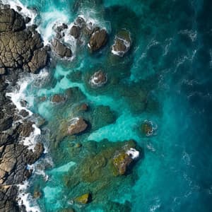 Study with the Ocean: Binaural Sounds for Academic Success - Finding Frequency