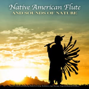 Native American Flute and Sounds of Nature: Nature Sounds and Relaxing Music For Sleep, Meditation, Spa, Massage, Yoga, Healing and Wellness - Native American Meditations
