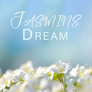 Jasmine Dream: Light and Calm Instrumental Chinese Music - Sleep & Dream Academy