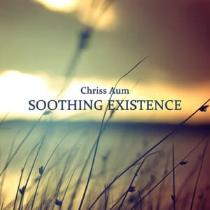 Soothing Existence - Chriss Aum