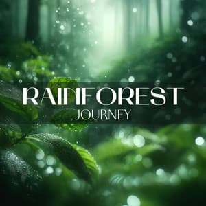 Rainforest Journey - Spa Music Zone