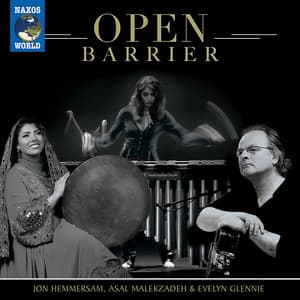 Open Barrier - Jon Hemmersam