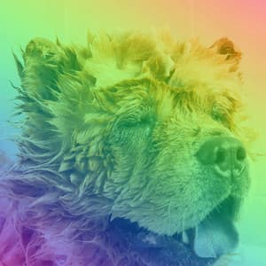 Hip Trio Jazz - Background for Puppy Fun - Puppy Music