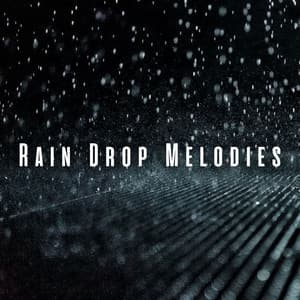Rain Drop Melodies: Meditative Beach Waves for Cats - Ricky Rainsound