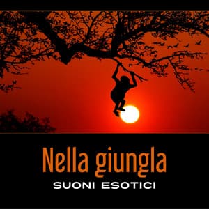 Nella giungla - Musica tranquilla accademia
