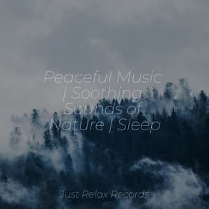 Peaceful Music | Soothing Sounds of Nature | Sleep - Pro Sound Effects Library