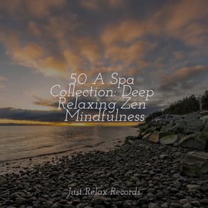 50 A Spa Collection: Deep Relaxing Zen Mindfulness - Meditation Awareness