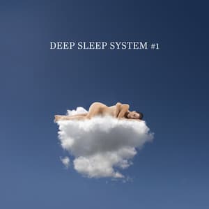 Deep Sleep System #1 - Deep Sleep System