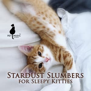 Stardust Slumbers for Sleepy Kitties - Pet Music Academy