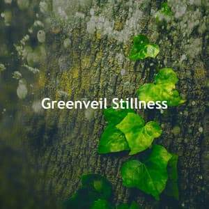 Greenveil Stillness - The Sound Of The Jungle