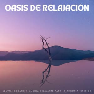 Oasis De Relajación: Lluvia, Océano Y Música Relajante Para La Armonía Interior - Waves Of Costa Del Sol