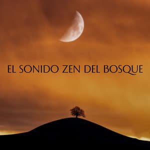 El Sonido Zen Del Bosque - Musica del bosque