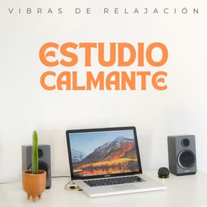 Vibras De Relajación: Estudio Calmante - Tranquilo Café Música