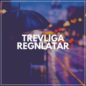 Trevliga Regnlåtar - Regnskur
