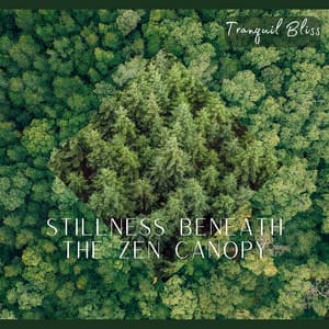 Stillness Beneath the Zen Canopy - Tranquil Bliss