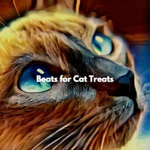 Beats for Cat Treats - Playlist du Dîner