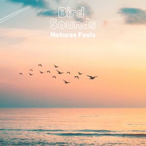 Bird Sounds Natures Feels - Natural Sample Makers