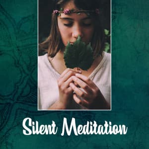Silent Meditation - Meditation Group