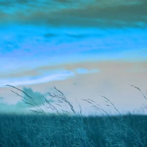 Feelings for Inspired Daylight - Pianomuziek