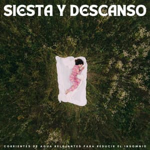 Siesta Y Descanso: Corrientes De Agua Relajantes Para Reducir El Insomnio - Dormir Mucho