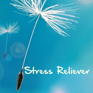 Stress Reliever: Stress Management Music - Stress Relief