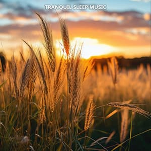 Tranquil Sleep Music No. 1 - Sleeping Music