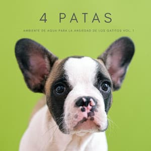 4 Patas: Ambiente De Agua Para La Ansiedad De Los Gatitos Vol. 1 - Calma Música para Perros