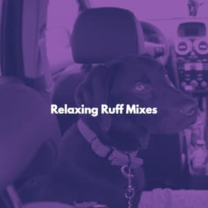 Relaxing Ruff Mixes - Calming Dog Jazz
