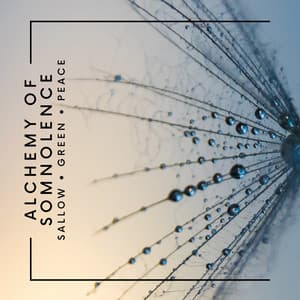 Alchemy of Somnolence: Deep Sleep Meditation - Isabel Sallow