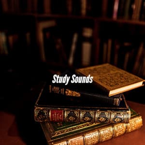 Study Sounds - Deluxe Elevator Music