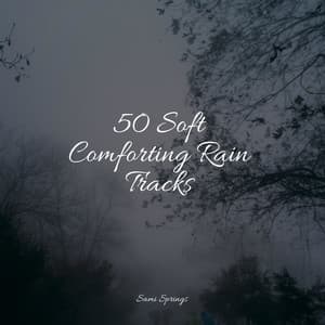 50 Soft Comforting Rain Tracks - Sonido Del Bosque y Naturaleza