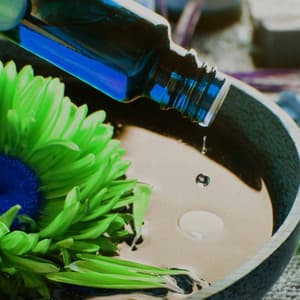 Background Music for Private Daydreams - Música para Desayuno Música De Fondo