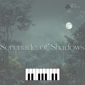 Serenade of Shadows - Spa Passenger