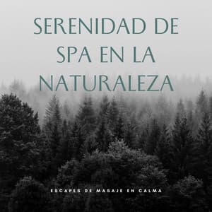Serenidad De Spa En La Naturaleza: Escapes De Masaje En Calma - Música Para Aliviar El Estrés