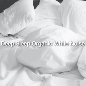 Loopable Deep Sleep Organic White Noise - Dream Frequency