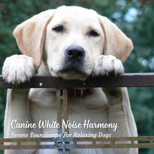 Canine White Noise Harmony: Serene Soundscape for Relaxing Dogs - White Noise for Deep Sleep