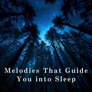 Melodies That Guide You into Sleep - Relaxing BGM Project