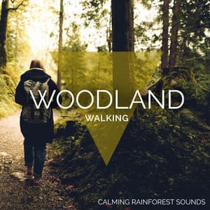 Woodland Walking - Calming Rainforest Sounds