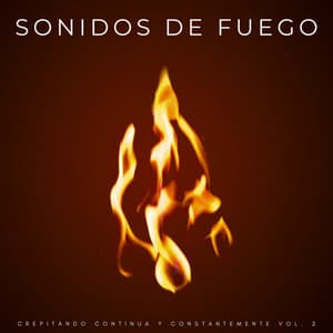 Sonidos De Fuego: Crepitando Continua Y Constantemente Vol. 2 - Vibraciones de la Naturaleza