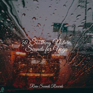 50 Soothing Nature Sounds for Yoga - Soothing Sounds