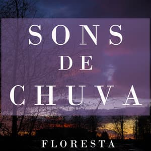 Sons de Chuva na Floresta - Epic Soundscapes