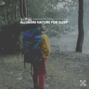 Alluring Nature for Sleep - Worldwide Nature Studios