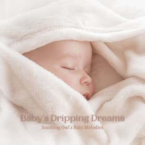 Baby's Dripping Dreams: Soothing Owl's Rain Melodies - Rain Noise Sleep