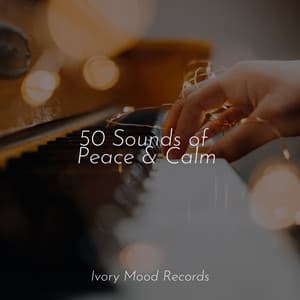 50 Sounds of Peace & Calm - Ivory Mood