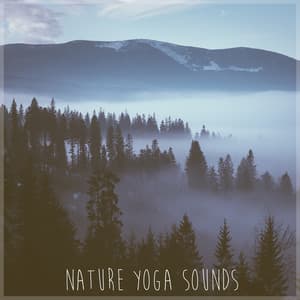 Nature Yoga Sounds - Nature Chillout