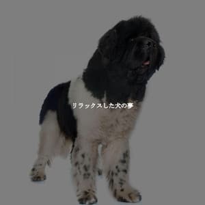 リラックスした犬の夢 - Relaxing BGM Project