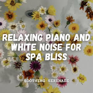 Soothing Serenade: Relaxing Piano and White Noise for Spa Bliss - Looped White Noise Focus
